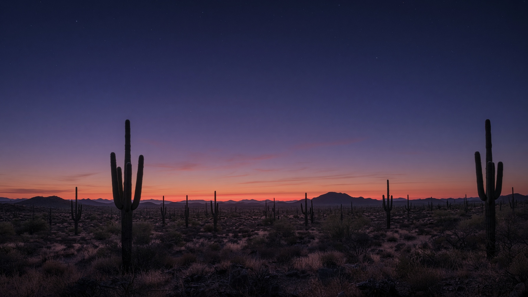 Desert nightfall, saguaros against a last band of coral light