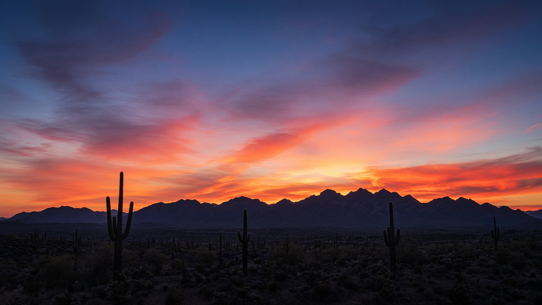 Sonoran Desert at sunset, mountains in silhouette under a coral sky
